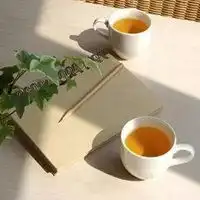 茶杯与书头像图片大全微信头像图片大全