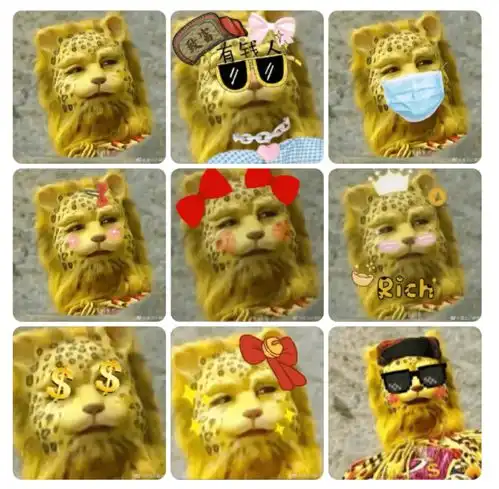 长得跟老虎似的,换个金钱豹头像也行,可是它的英文是moneybao吗