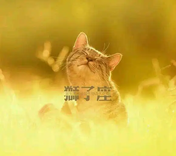 对付白羊摩羯狮子三个星座的男生这两个字最管用