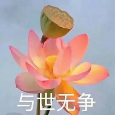 佛系打坐头像女