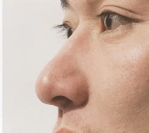 素描课堂素描五官详解鼻子塑造篇