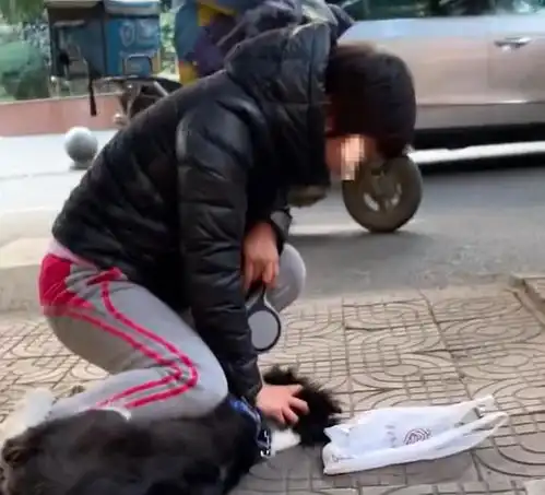 女子被自家宠物狗咬伤,当街压住狗头训狗崽,我教你怎么做狗