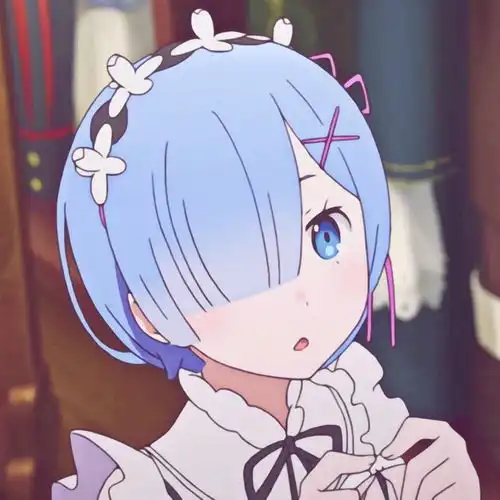 蕾姆老婆酱可爱动漫女头