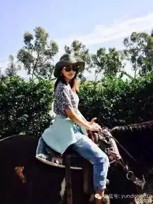 张雨绮追我的排到巴黎,怕什么闪婚