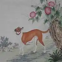 属狗70年平安发财微信头像微信头像图片大全