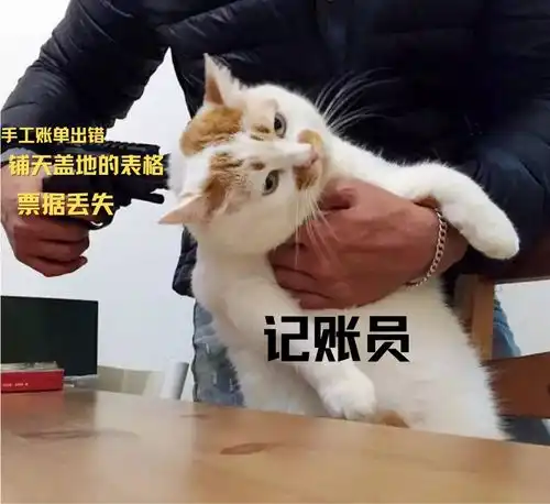 手写的单据,对账的梦魇来自打工人的第1725次崩溃