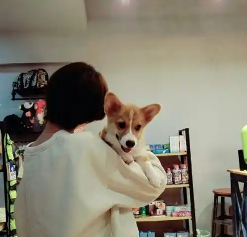 杀了别人的狗还调戏狗主人,她可能是未来一年出现的最恶毒的人