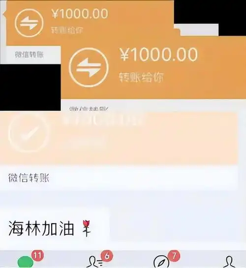 15年河南女孩朋友圈借钱,300人给她转账,一夜到30万,她还了吗