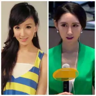 佟丽娅娄艺潇新浪最美女记者走红网络