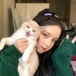 乱糟糟的头像