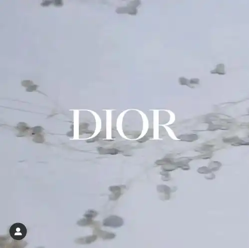 dior2020春夏时装周森林办秀,梦幻花园里的山野仙子