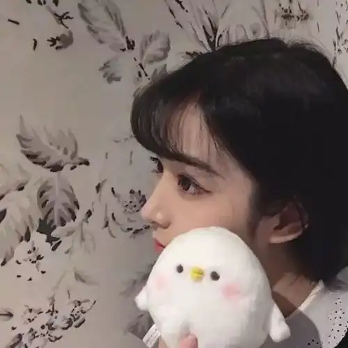 emmm,今天没有表情包,昨天那个要女生头像的,呐,看过来
