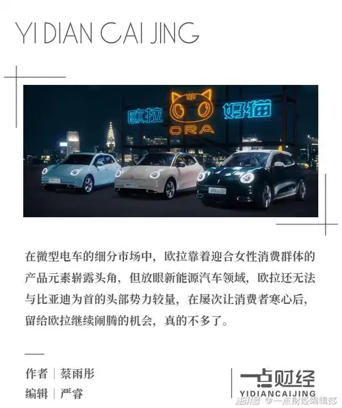 长城欧拉,一个最伤女人芯的汽车品牌