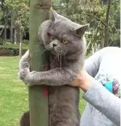 爆笑图片果然会变色的