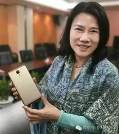 董明珠格力2代手机推出明星定制版拉上乐嘉代言成功几何