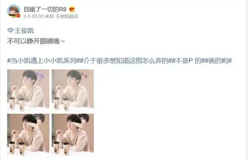 饭绘的卡通q版萌物,当小凯遇上小小凯系列