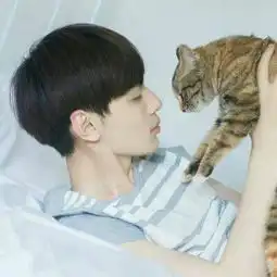 苏尘辰你是年少的喜欢