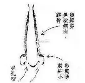鼻子看女人的婚姻