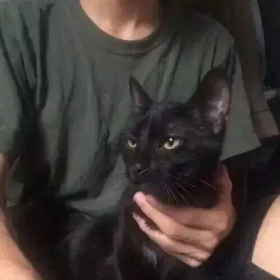 头像没有人会永远陪你但永远有人陪你