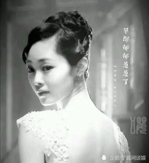 旗袍美女宋轶曾接触司藤想要出演,网友幸好最后是景甜