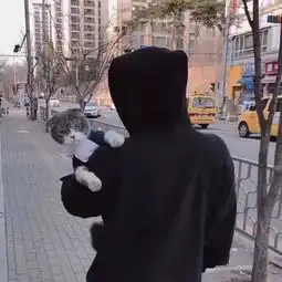 一波超级好看的头像
