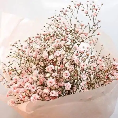 吃货女生头像2019鲜花
