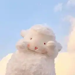 记录.洋洋和小星星