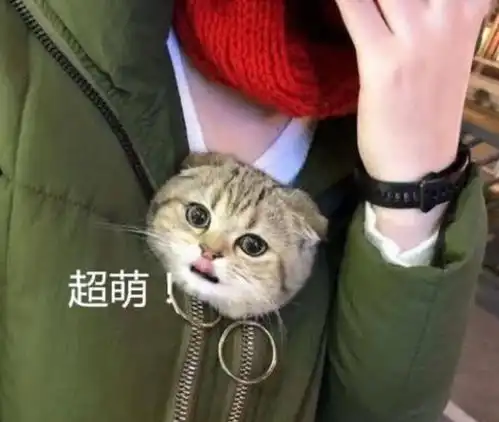 女孩出超市紧裹大衣,被质疑偷东西,打开衣服后众人看傻了