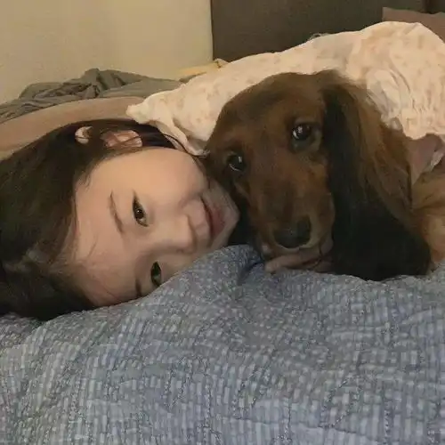 收藏超可爱女生头像简直要被萌化啦