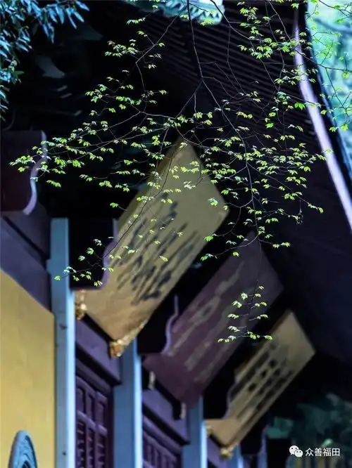 女儿成天念念叨叨的,竟然把疯母治好了,什么原理