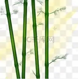 竹林图片竹林素材图片竹林素材图片免费下载千库网png第6页