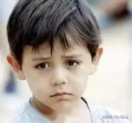 年末保壳考试,哪些st股可以不挂科