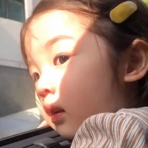 摘抄小短句万物皆有裂痕,那是光进来的地方