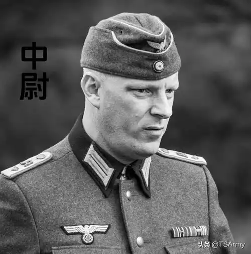 带你简单了解,二战德国陆军的军衔章