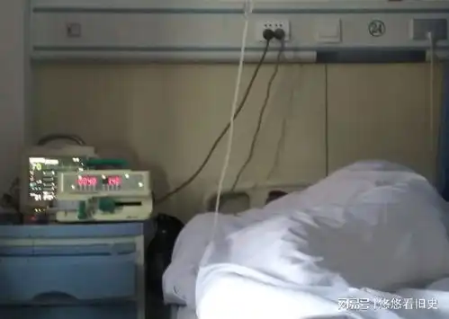 16年,江苏六旬老太假扮妙龄少女与丈夫网恋,骗取200万后被发现