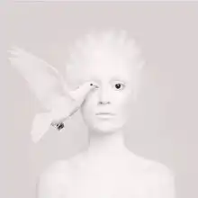 案例赏析丨九零后摄影师的时间旅行