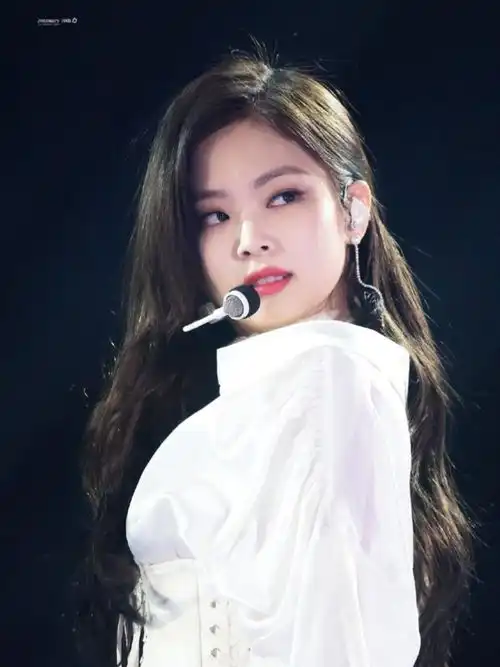 家人们大家真心觉得blackpink里面jennie颜值怎么样我是真的完全get不到