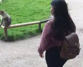英国女孩被猴追照片瞬间被赞7万次,夸张表情成网红