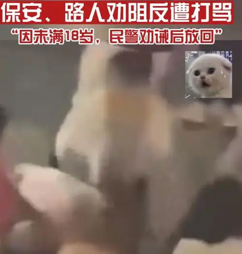 掌掴婴儿踹老人下体16岁少女暴力殴打13无辜路人后续震怒全网
