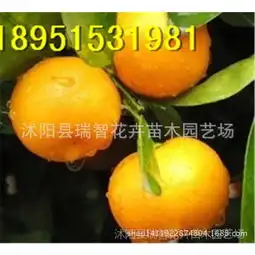 价格厂家中国供应商