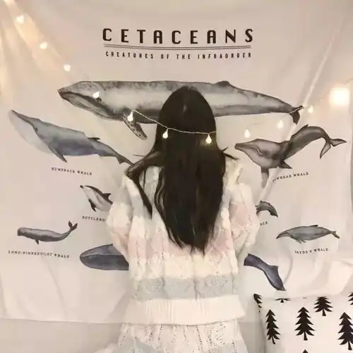 超美背影女生头像