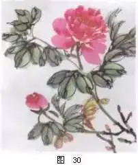 怎样画牡丹史上最全的画法