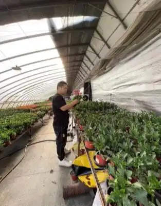 从月薪几千到年薪数十万被快手改变命运的养花少年