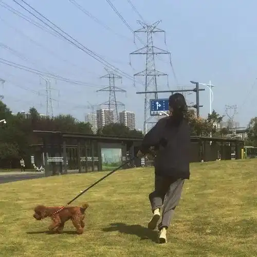 女生头像任何瞬间的心动都不容易不要怠慢了它生活