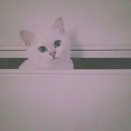 好看的人才能用这些头像哦