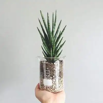 必赢bwin手机app官网