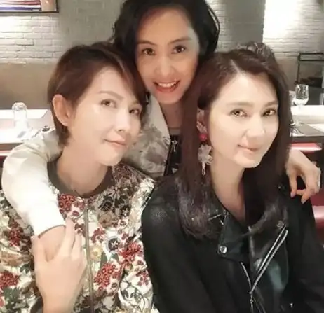 多情的洪欣21岁被富豪养,33岁未婚生子,最终下嫁张丹峰遭背叛