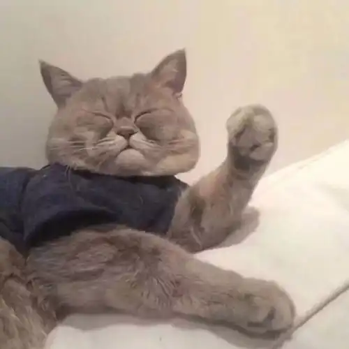 今日份背景图你的情话我听着,你的余生我陪着