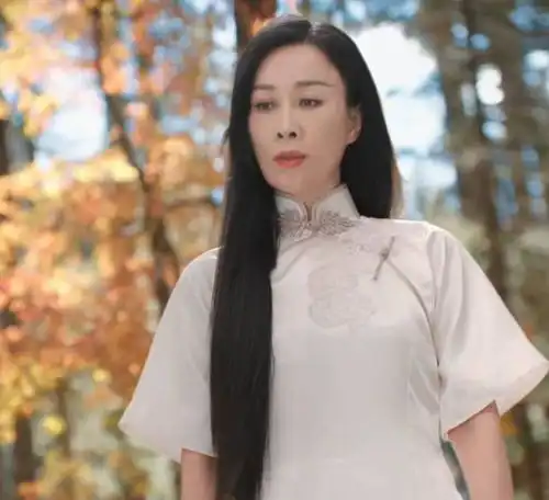那英穿旗袍变古典美女,一开口满嘴东北话,她为什么总被喷