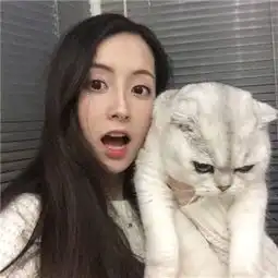 一副扑克牌有多少张牌